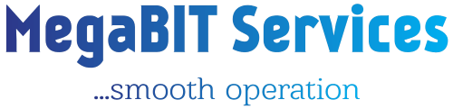 MegaBIT Services